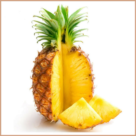 Pineapple Ring Slices - (Raw, Organic, Sun Dried)