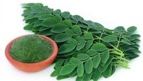 Premium & Most Nutritious Fruits and Vegetables, Dried Collection