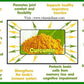 100%  Organic Turmeric Root Powder - (Detox Pineal Gland and Purify Blood)