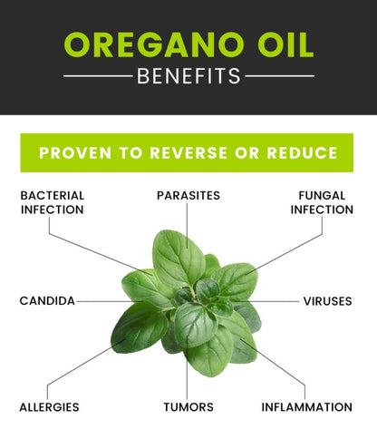 Oregano Essential Oil - High Potency