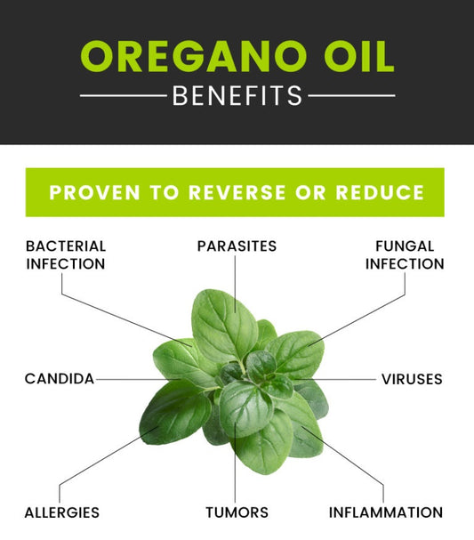 Oregano Essential Oil - High Potency