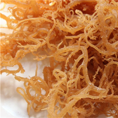Raw Irish Moss (Sea Moss) 8oz - Wild Harvested, Sun Dried, Raw