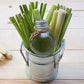 Lemongrass & Rosemary with Sage Botanicals & Sea Clay