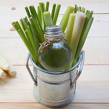 Lemongrass & Rosemary with Sage Botanicals & Sea Clay