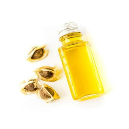 100% Pure Cold-Pressed Moringa Seed Oil (Water Purification/Mental and Emotional Health)