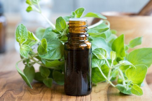 Oregano Essential Oil - High Potency